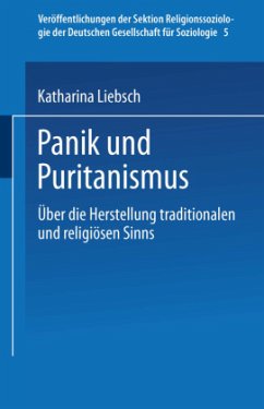 Panik und Puritanismus - Liebsch, Katharina