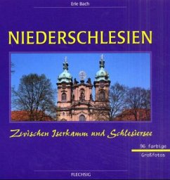 Niederschlesien, Zwischen Iserkamm und Schlesiersee - Bach, Erle