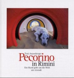 Pecorino in Rimini - Anzenberger, Toni