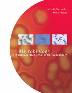 Microbiology: A Photographic Atlas for the Laboratory - Alexander, Steve K.; Strete, Dennis