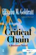 Critical Chain - Bild 1