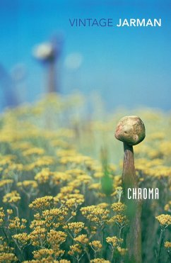 Chroma - Jarman, Derek