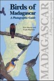 Birds of Madagascar