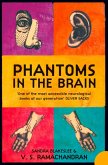 Phantoms in the Brain
