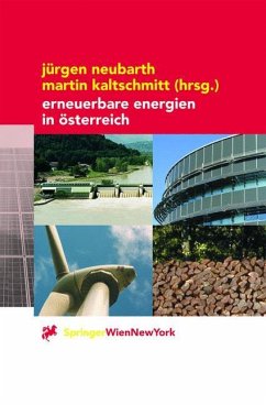 Erneuerbare Energien in Österreich - Neubarth, Jürgen / Kaltschmitt, Martin (Hgg.)