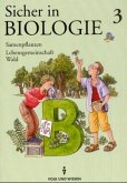 Samenpflanzen, Lebensgemeinschaft Wald / Sicher in Biologie Bd.3