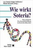 Wie wirkt Soteria?