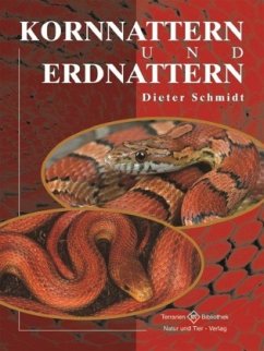 Kornnattern und Erdnattern - Schmidt, Dieter