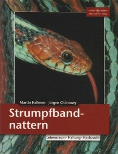 Strumpfbandnattern - Hallmen, Martin;Chlebowy, Jürgen