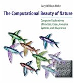 The Computational Beauty of Nature