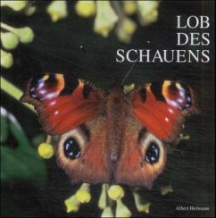 Lob des Schauens - Hofmann, Albert