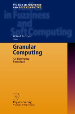 Granular Computing - Pedrycz, Witold (ed.)