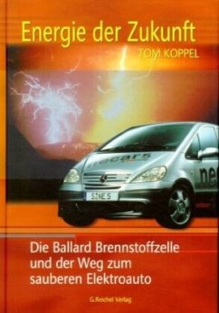 Energie der Zukunft - Koppel, Tom