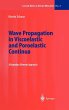 Wave Propagation in Viscoelastic and... - Bild 1
