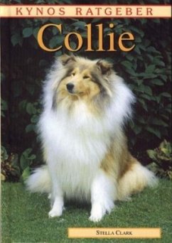 Collie - Clark, Stella