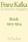 Briefe 1913-1914 / Briefe Franz Kafka Bd.2 (Kritische Ausgabe)