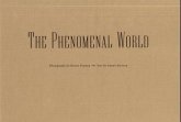 The Phenomenal World