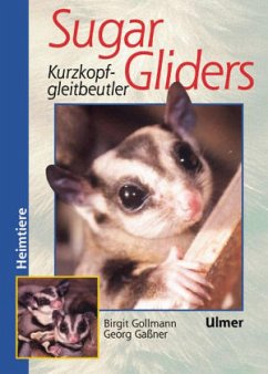 Sugar Gliders - Gollmann, Birgit; Gaßner, Georg