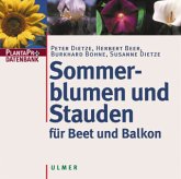 Sommerblumen und Stauden für Beet und Balkon, 1 CD-ROM