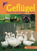 Geflügel Geflügel