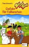 Gefahr für Falkenstein / Bibi und Tina Bd.23 Gefahr für Falkenstein / Bibi und Tina Bd.23