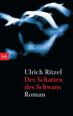 Der Schatten des Schwans / Kommissar Berndorf Bd.1 - Ritzel, Ulrich