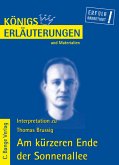 Erläuterungen zu Thomas Brussig, Am kürzeren Ende der Sonnenallee