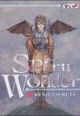 Spirit of Wonder. Bd.1