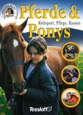 Pferde & Ponys, Reitsport, Pflege, Rassen