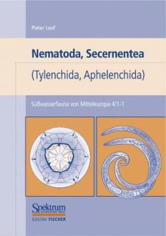 Nematoda, Secernentea (Tylenchida, Aphelenchida) / Süßwasserfauna von Mitteleuropa Bd.4/1-1 - Loof, Pieter A. A.