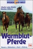 Warmblut-Pferde