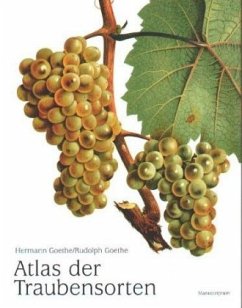 Atlas der Traubensorten - Goethe, Rudolph;Goethe, Hermann