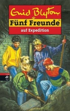 Fünf Freunde auf Expedition / Fünf Freunde Bd.30 - Blyton, Enid