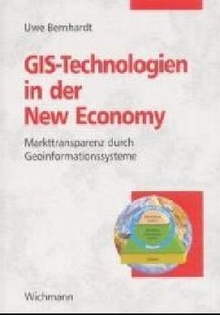 Cover GIS-Technologien in der New Economy