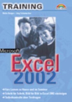 Microsoft Excel 2002 - Borges, Malte; Schumacher, Jörg