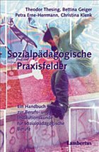 Sozialpädagogische Praxisfelder - Thesing, Theodor / Geiger, Bettina / Erne-Herrmann, Petra / Klenk, Christina