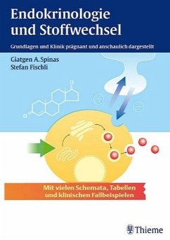 Endokrinologie und Stoffwechsel - kurz und prägnant - Spinas, Giatgen A / Fischli, Stefan