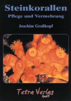 Cover Steinkorallen