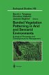 Banded Vegetation Patterning in Arid... - Bild 1