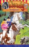 Der Wanderritt, 1 Cassette / Wendy, Cassetten 27