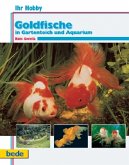 Goldfische im Gartenteich und Aquarium