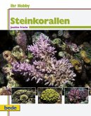 Steinkorallen