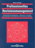 Professionelles Revisionsmanagement