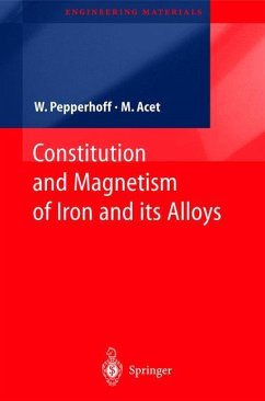 Constitution and Magnetism of Iron and its Alloys - Pepperhoff, Werner;Acet, Mehmet