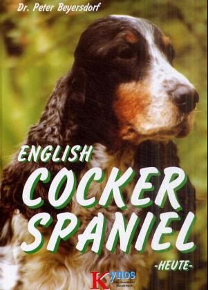 English Cocker Spaniel heute English Cocker Spaniel heute