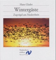 Wintergäste - Glader, Hans