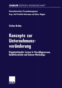 Konzepte zur Unternehmensveränderung - Brehm, Stefan