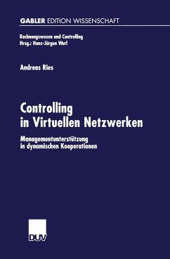Controlling in Virtuellen Netzwerken - Ries, Andreas