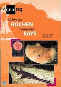 Süßwasser-Rochen - Ross, Richard A;Schäfer, Frank