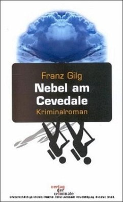 Nebel am Cevedale - Gilg, Franz